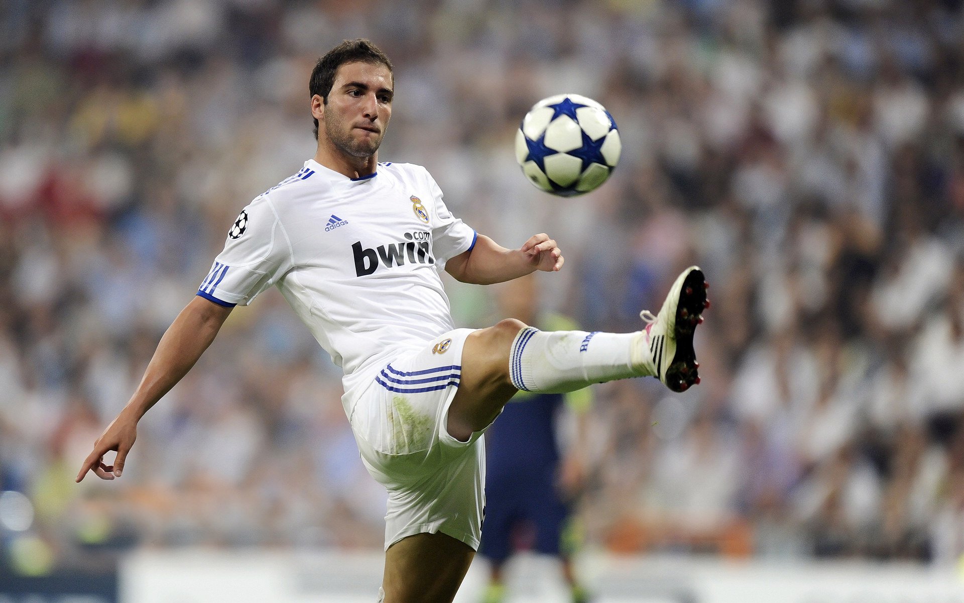 电竞教育的未来:专业课程与人才培养,电竞教育主要学什么好处